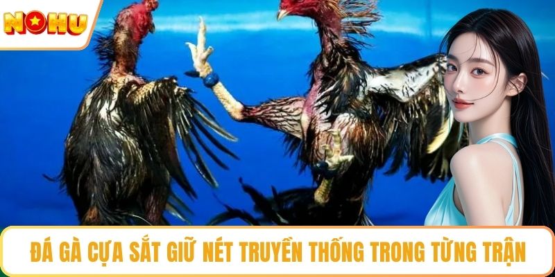 Đá gà cựa sắt giữ nét truyền thống trong từng trận