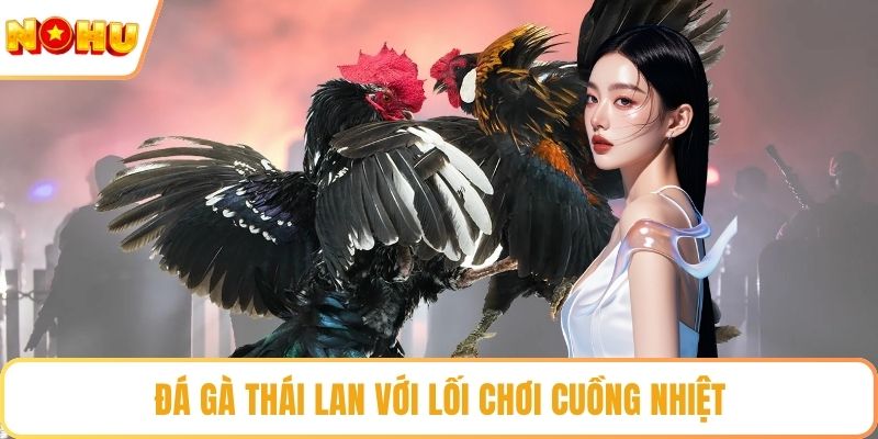 Đá gà Thái Lan với lối chơi cuồng nhiệt