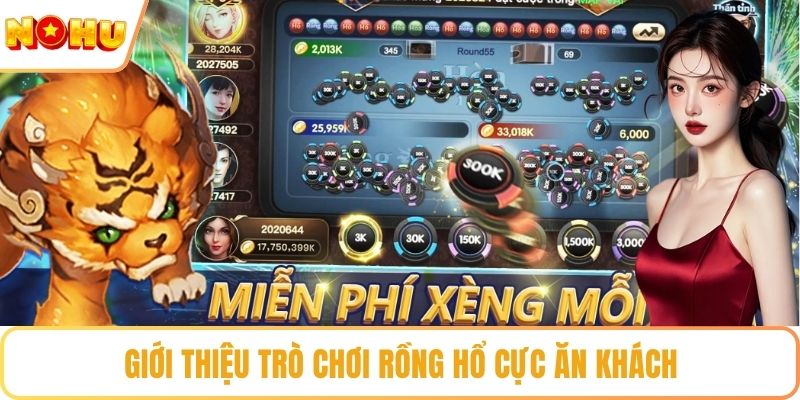 Giới thiệu trò chơi Rồng Hổ cực ăn khách