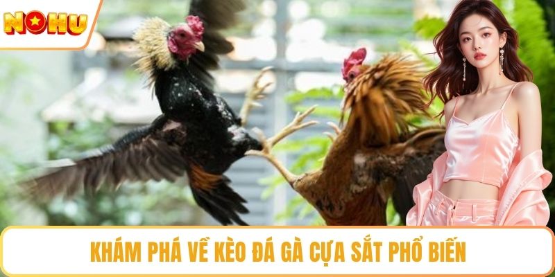 Khám phá về kèo đá gà cựa sắt phổ biến