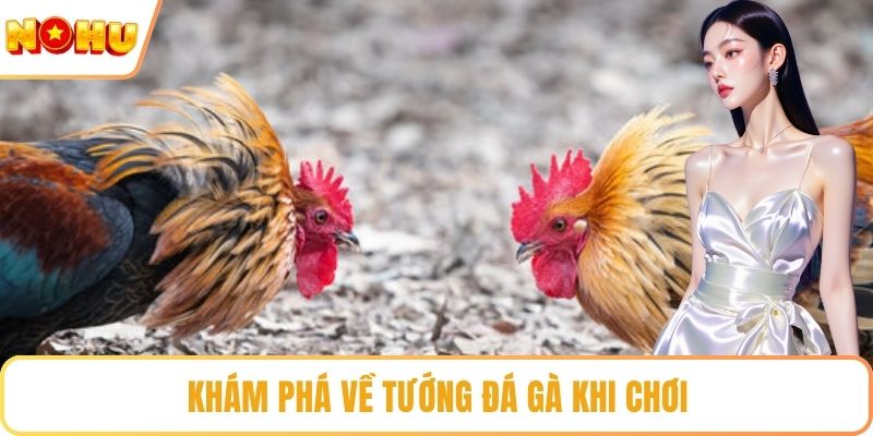 Khám phá về tướng đá gà khi chơi