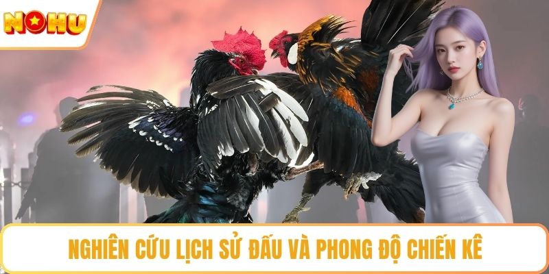 Nghiên cứu lịch sử đấu và phong độ chiến kê