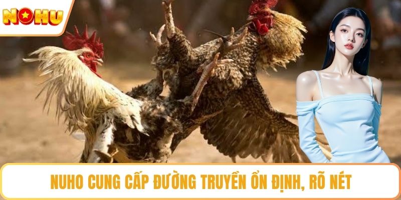 NUHO cung cấp đường truyền ổn định, rõ nét