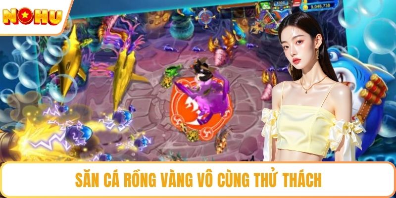 Săn cá rồng vàng vô cùng thử thách