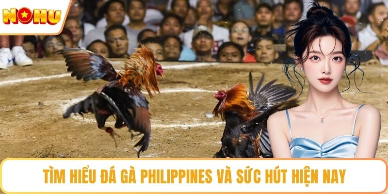 Tìm hiểu đá gà Philippines và sức hút hiện nay