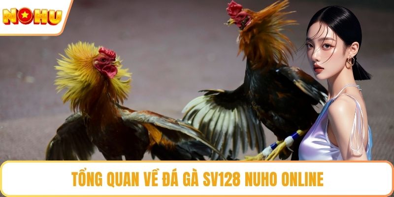 Tổng quan về đá gà SV128 NUHO online