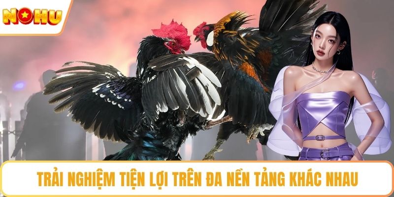 Trải nghiệm tiện lợi trên đa nền tảng khác nhau